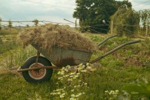 ZENTRALER ARBEITSEINSATZ. Samstag den 18.04.2026